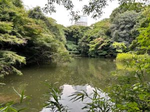 The University of Tokyo in Kaga Domain