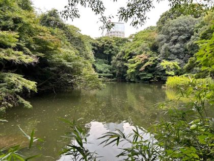 The University of Tokyo in Kaga Domain
